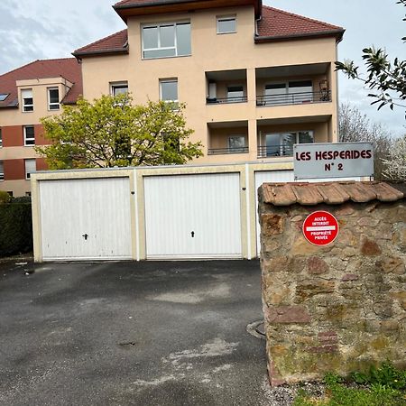 Appartamento L'Alsace Autrement Soultz-Haut-Rhin Esterno foto