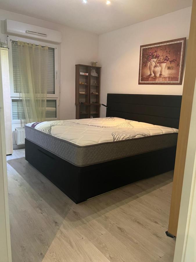 Appartamento L'Alsace Autrement Soultz-Haut-Rhin Esterno foto